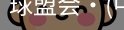 球盟会